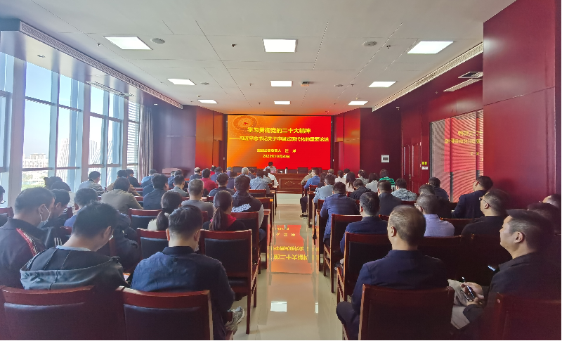 紧跟核心强忠诚 在深学细悟中坚定信仰信念 ——爱游戏(ayx)中国官方网站负责人汪洋同志为全体党员讲授主题教育专题党课